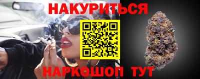 Альфа ПВП Краснознаменск