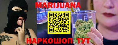 Альфа ПВП Краснознаменск