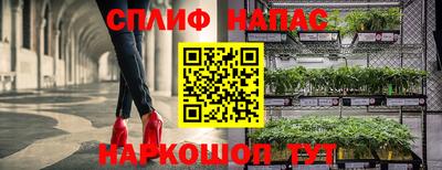 Альфа ПВП Краснознаменск