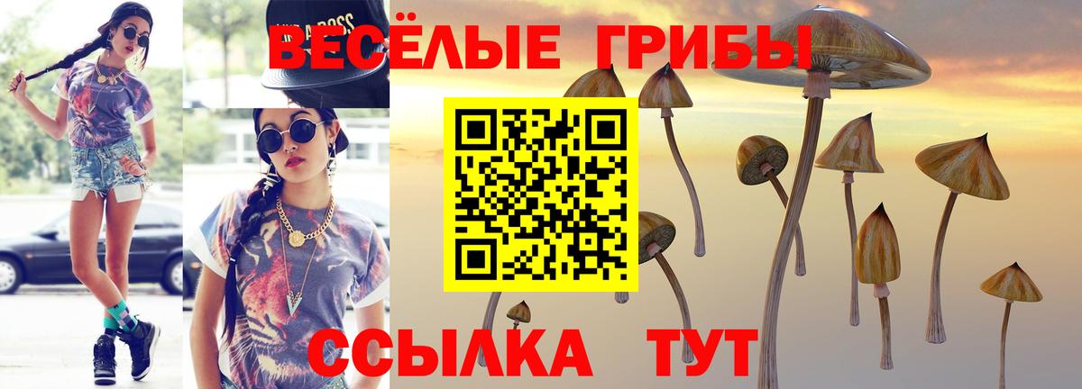 Избербаш  Галлюциногенные грибы Psilocybe  Вход с VPN 