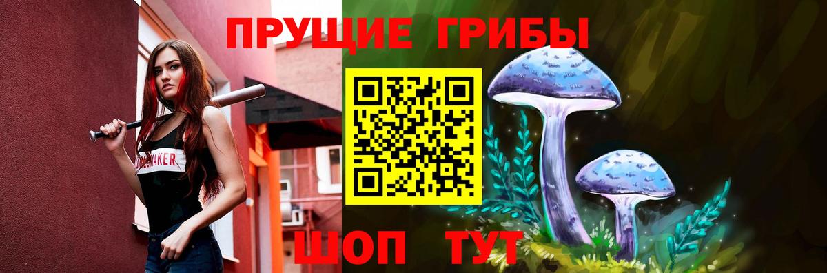 Псилоцибиновые грибы Cubensis Избербаш